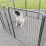 New 8 Panel Dog Enclosure Kennel Free Delivery Image 4