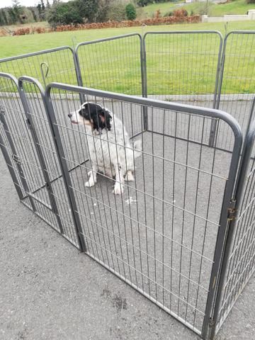 New 8 Panel Dog Enclosure Kennel Free Delivery