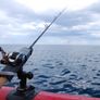 Rod holders ( for PVC boats ) Borika Fasten Image 2