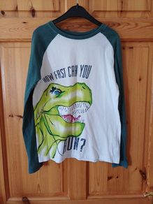Age 10 Dinosaur Top