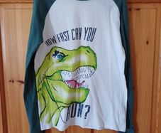 Age 10 Dinosaur Top