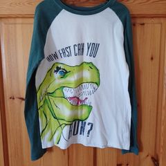 Age 10 Dinosaur Top