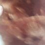Monki fur coat jacket M Image 2