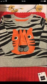 Boys BNWT sweater 0/3 mths
