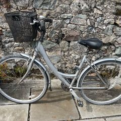 ladies Silver Bike