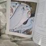wedding planner Image 5