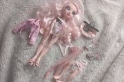 Bella parker rainbow high doll