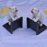 2 X Cast Iron Hand Painted Bulldog Bookends(2.2kgs) Image 5