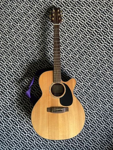 Takamine Guitar