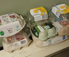 Egg Boxes Free to Take away