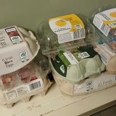 Egg Boxes Free to Take away