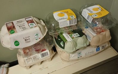 Egg Boxes Free to Take away