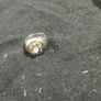 unisex ring Image 2
