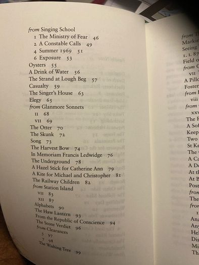 Seamus Heaney -100 Poems