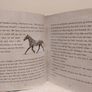 Muck & magic by Michael Morpurgo  HARDBACK BOOK Image 8