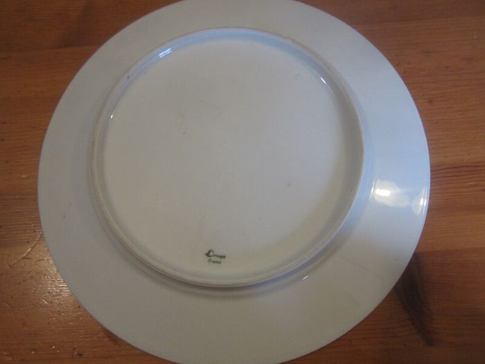 Limoges France plate    10 inch