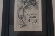 Alice in wonderland framed picture