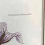 Lovely Gray Framed SOUTH AFRICAN BOTANICAL ART BY Judy Wheeler Geranium Family Monsania attenuata Geranium pulchrum Image 6
