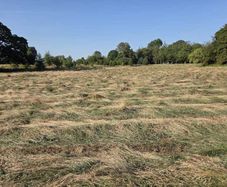Haylage for sale