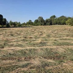 Haylage for sale