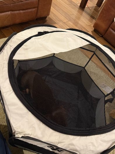 Portable Dog Playpen