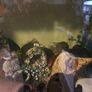 fish tank Image 4