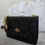 Coach Image 2