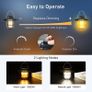 Camping Lantern, Rechargeable Retro Camping Tent Lights Lamp, Stepless Dimming Brightness (Warm White 3000K&Natural Light 4500K),12+Hrs Runtime for Camping (FREE SHIPPING) Image 4