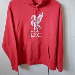 Nike Liverpool hoodie