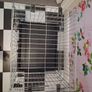 Rosewood Dog Cage - Bought off Very Website Image 3