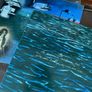 Explosions In The Sky - All Of A Sudden I Miss Everyone (First Press / USA) Image 9