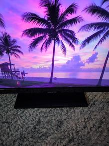 Walker 24-inch LED TV (Model: 24WPS19P