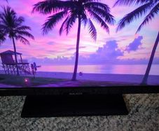 Walker 24-inch LED TV (Model: 24WPS19P