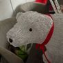 Outdoor polar bear Image 4