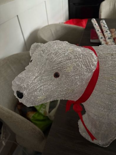 Outdoor polar bear
