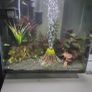 Aquarium Image 3