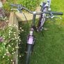 Girls  24" Bicycle/Ken Black Purple with stand and back carrier Image 7