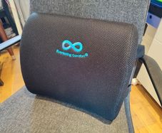 Back support pillow