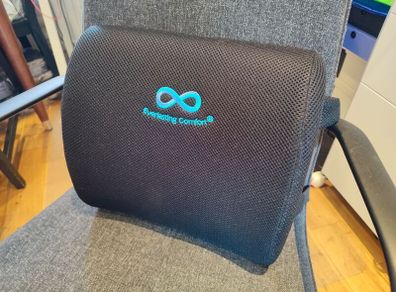 Back support pillow