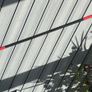 Bo Staff Image 2