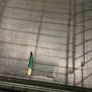 Dog Crate Image 3