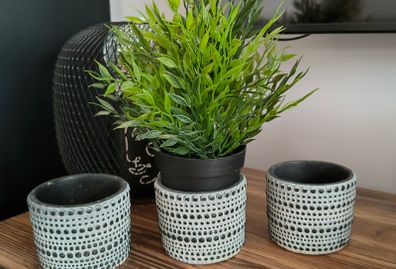Plant pots. Price for 3.
