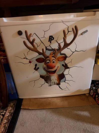 Mini fridge