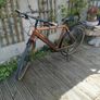 Kuma R1 E Bike Image 4