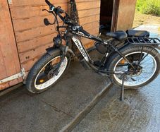 Electric cargo bike