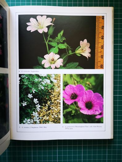 Hardy Geraniums YEO, Peter Published by Croom Helm in 1985