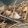 Roof Timbers Image 2