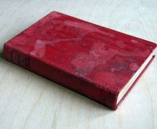 Rosalind at Red Gate by Meredith Nicholson (1913)