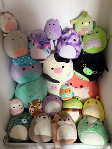 Squishmallows Bundle