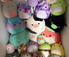 Squishmallows Bundle
